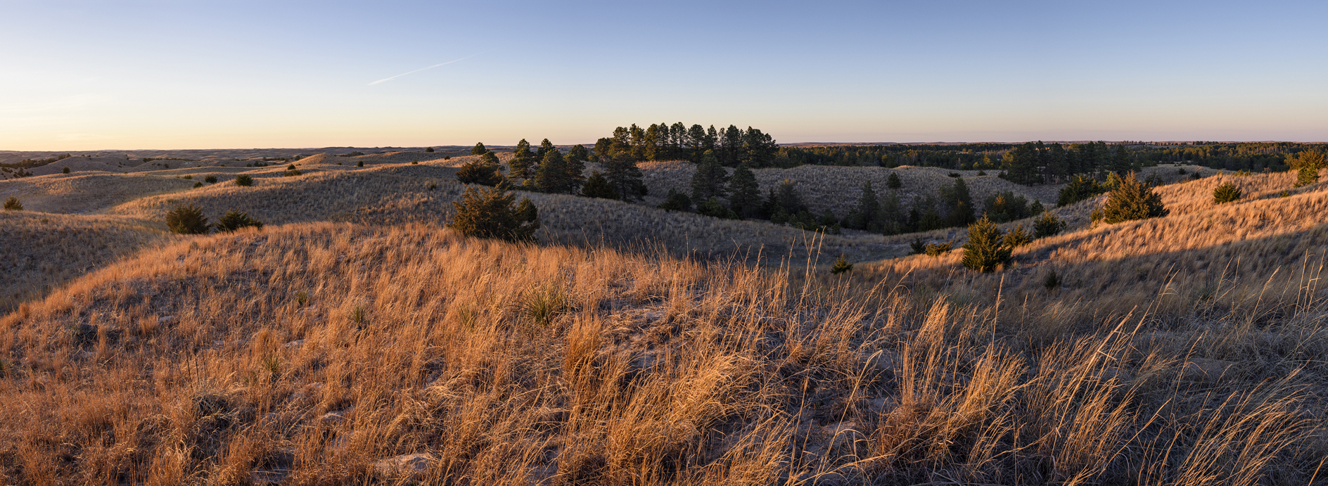 Little Bluestem Evening II