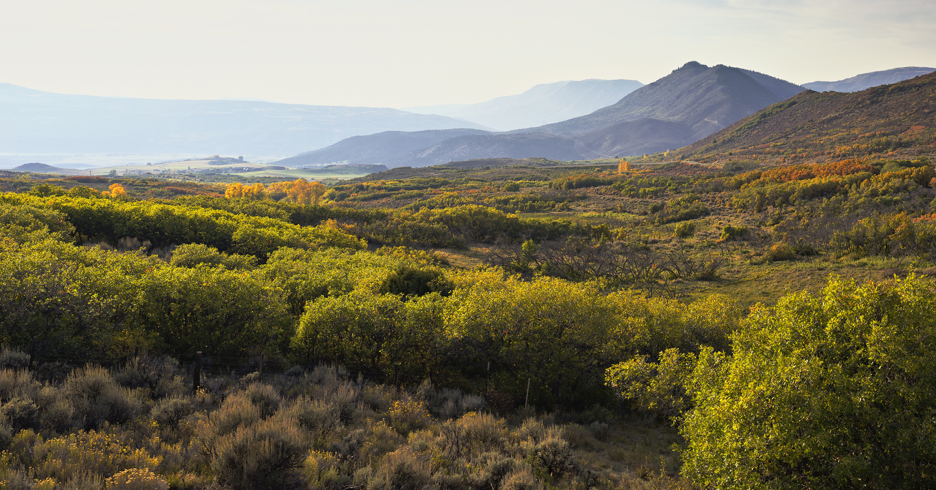 Little Cimarron Vista