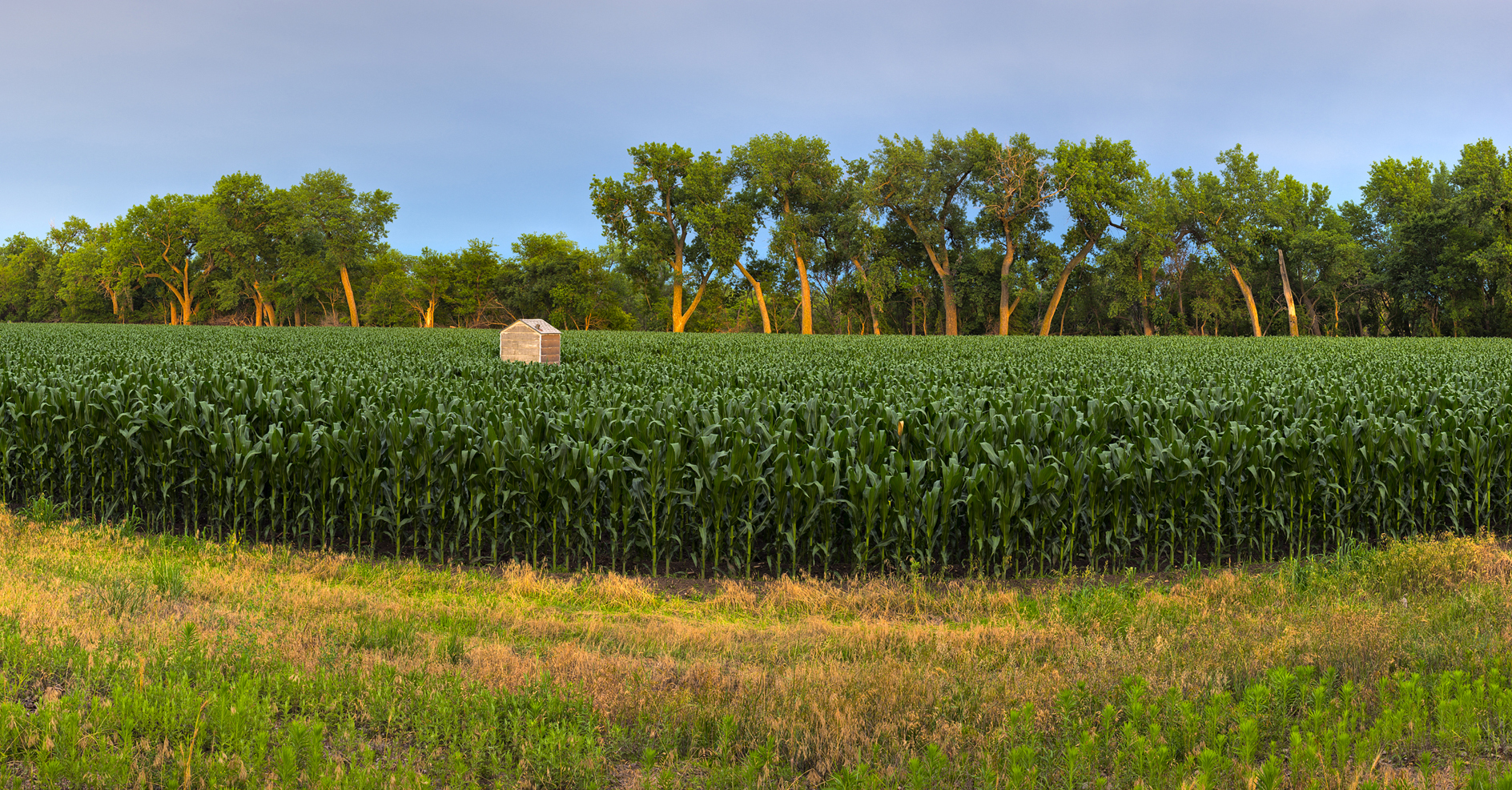 Little House on the Prairie