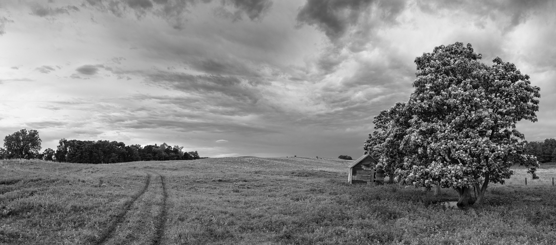 Living on the First Floor