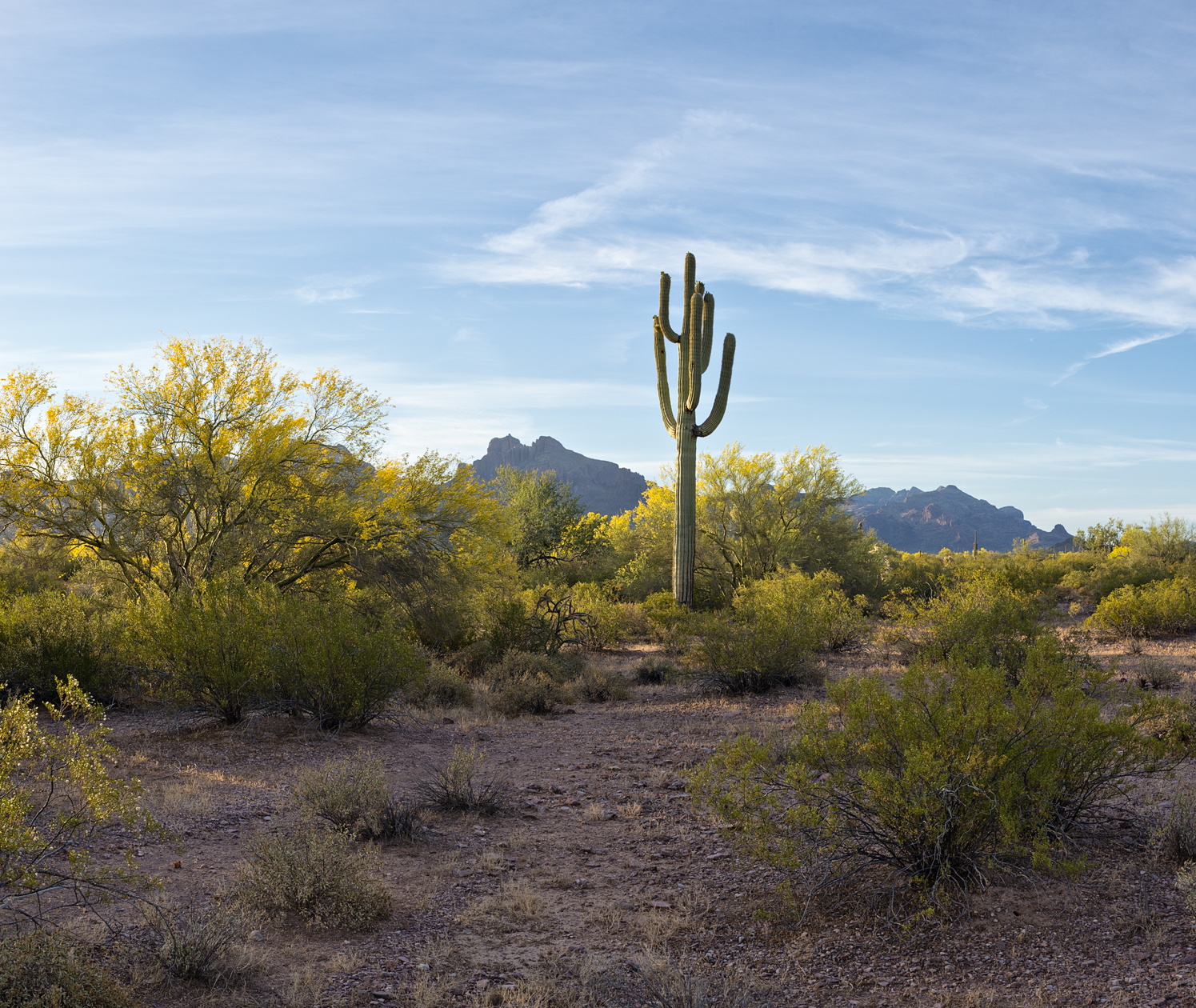 Lofty Aspirations III