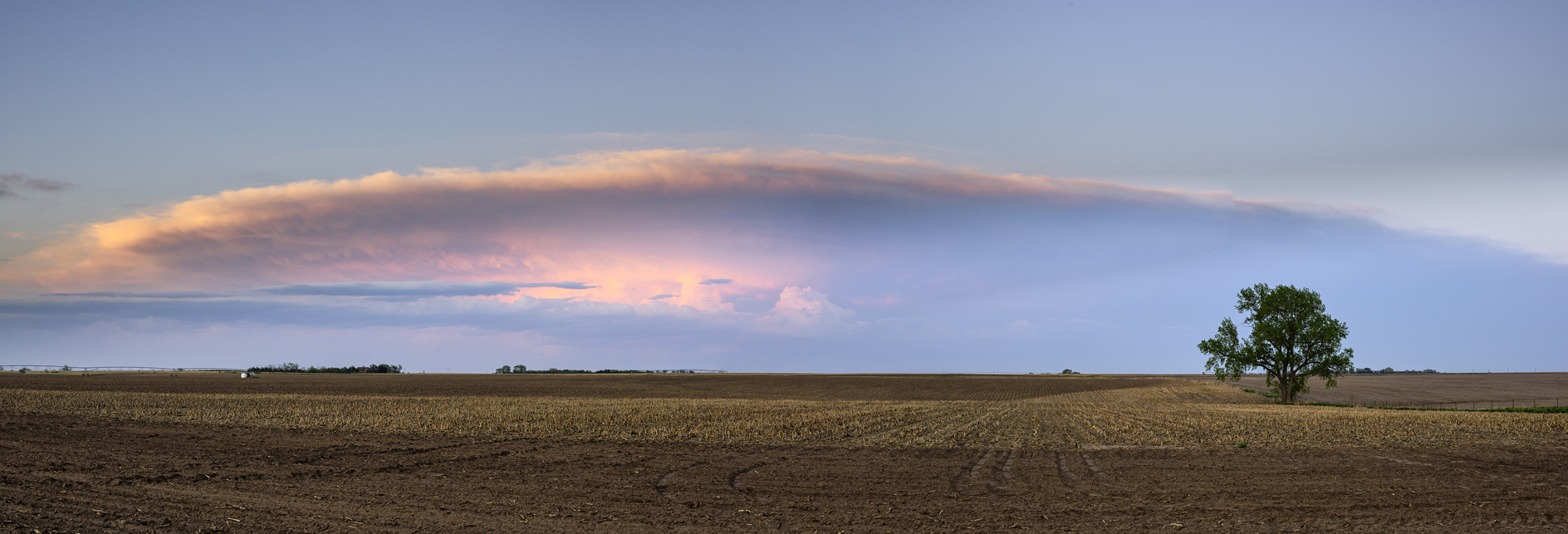 Lonesome Tree Evening III