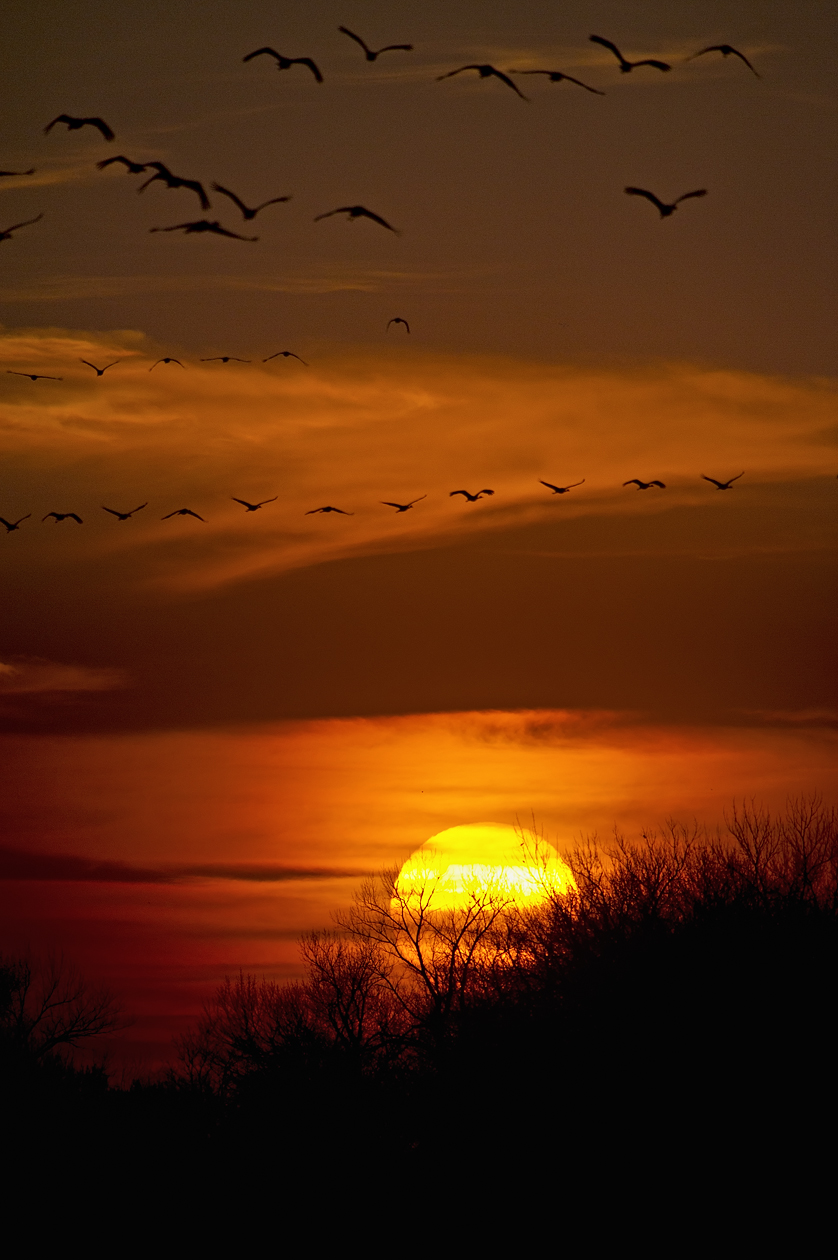 Long Day at the Office