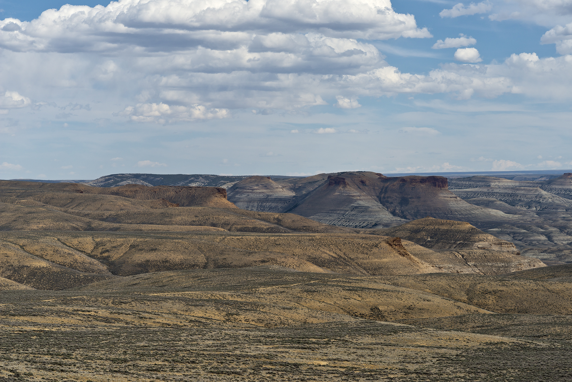 Long Way to the Water Hole