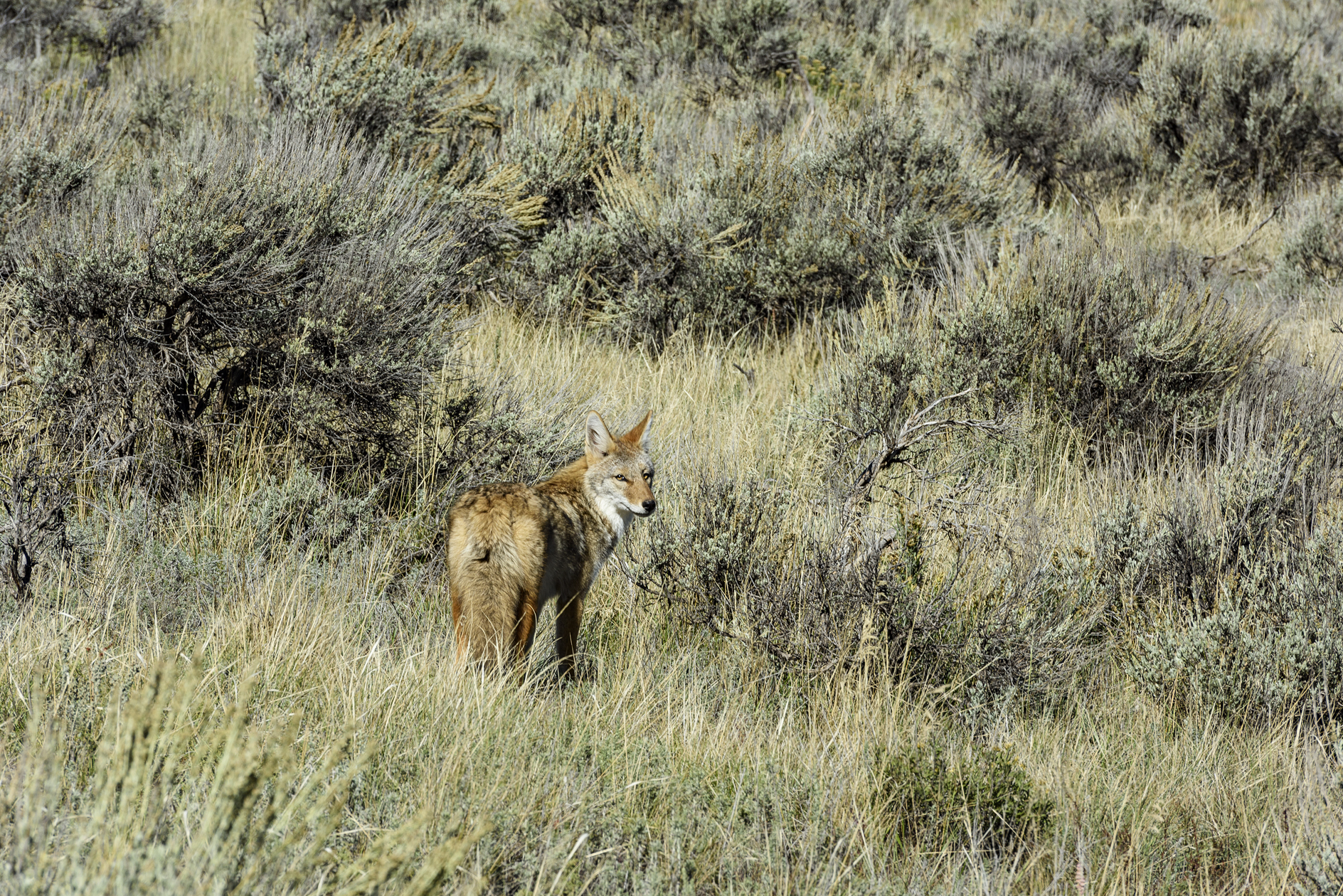 Looking Back on Things