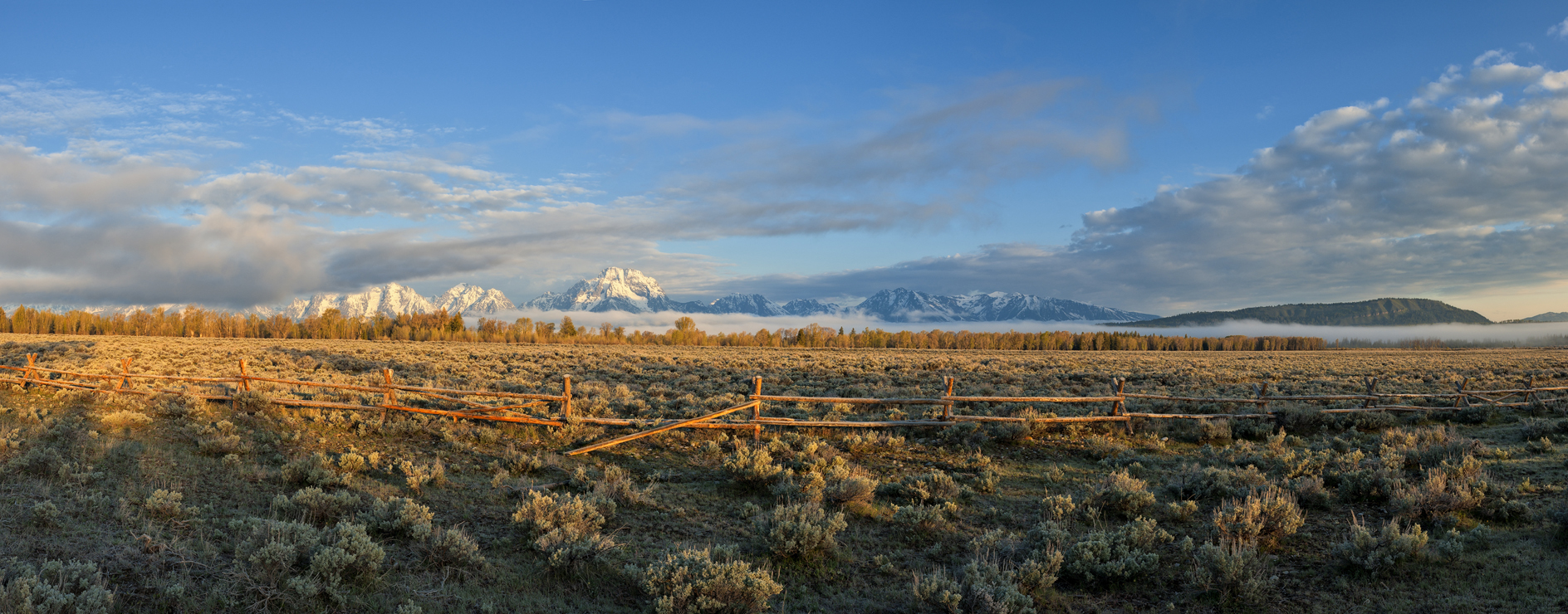 Looking for a Fence Mender