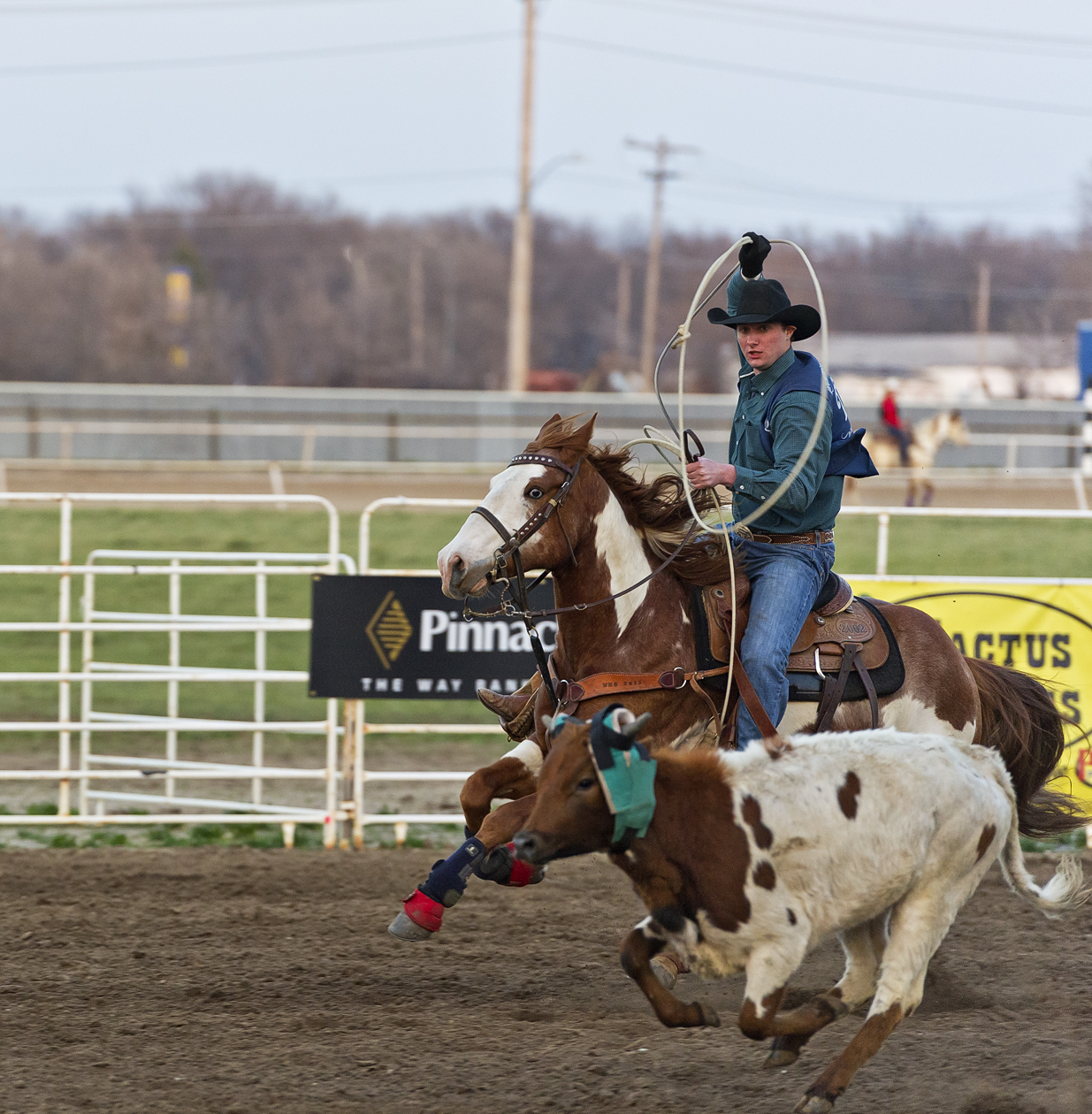 Looking for a Loophole