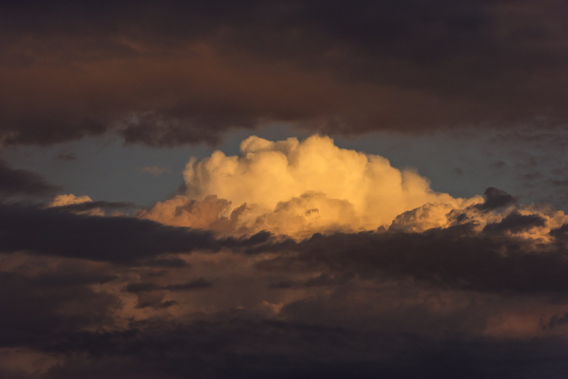 Looking Through the Blinds II
