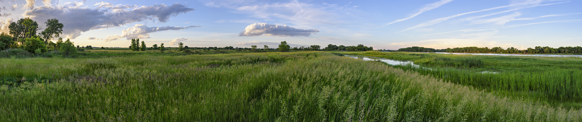 Loup River Valley Evening