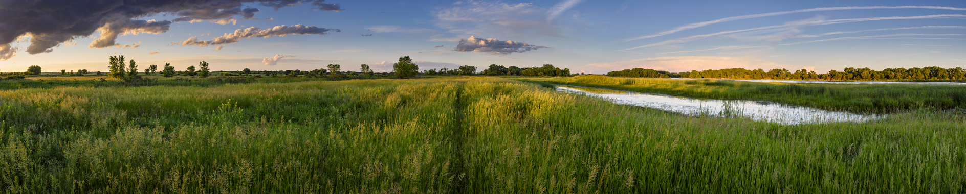Loup River Valley Evening III