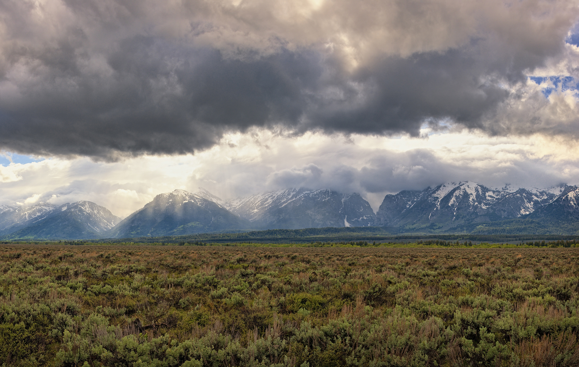 Low Ceiling Afternoon
