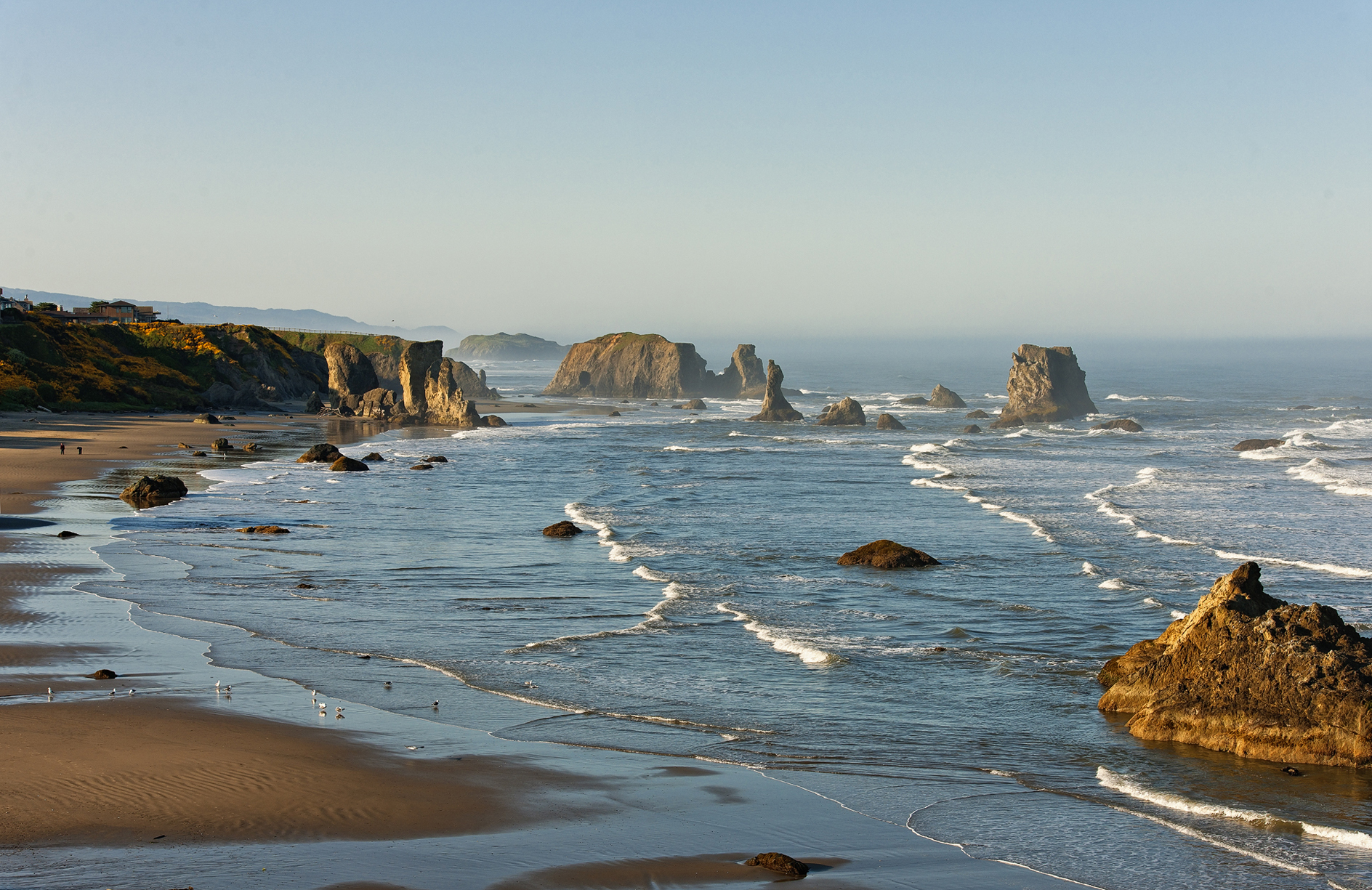 Low Tide Opportunities