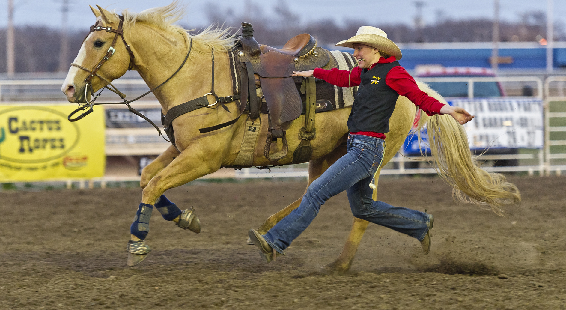 Making Great Strides