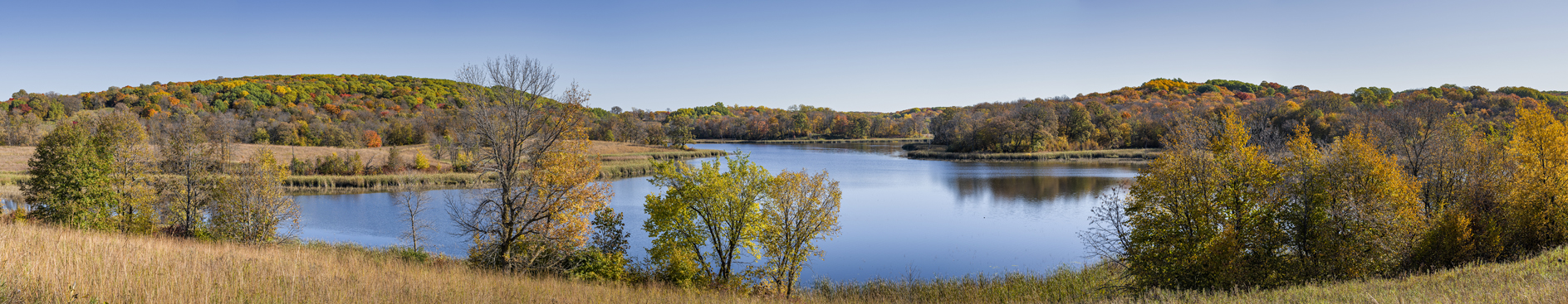 Maplewood State Park Morning