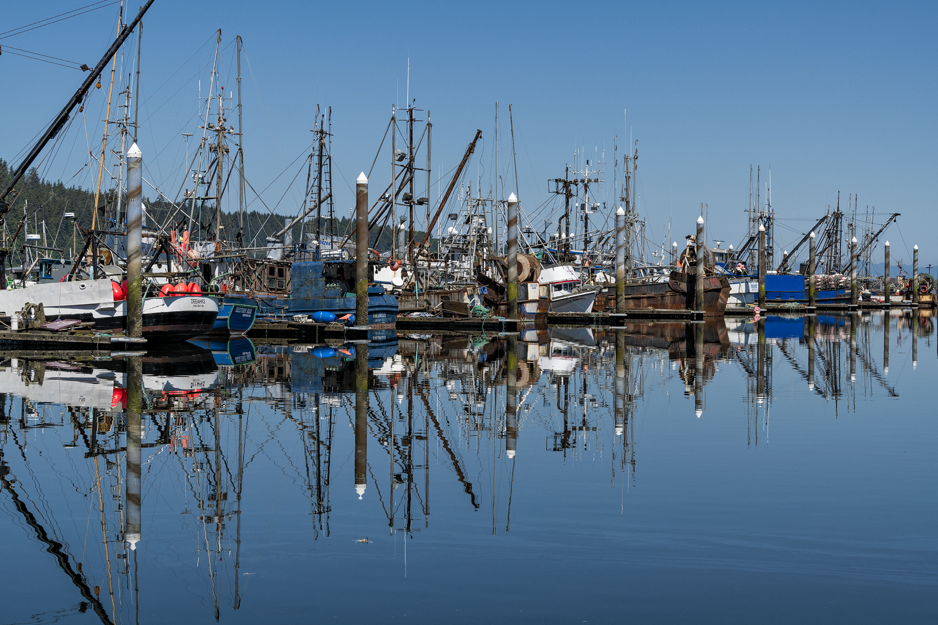 Marina Reflections II
