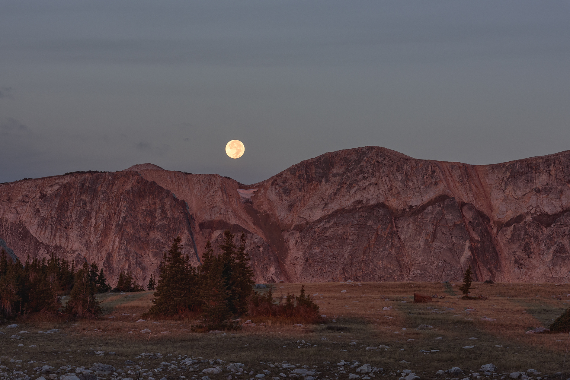Medicine Bow Moon