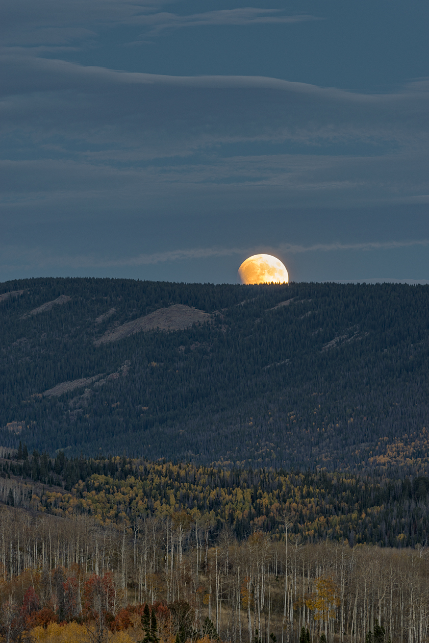 Medicine Bow Rising