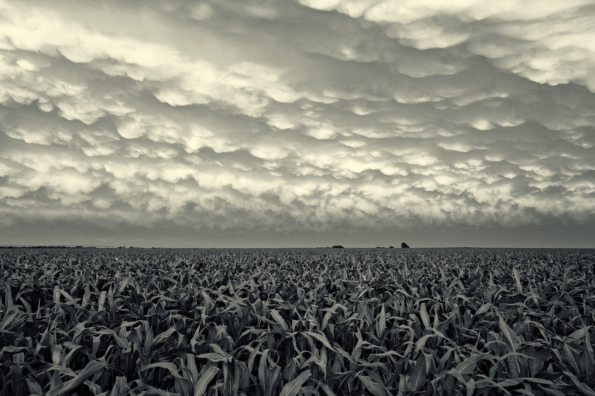 Minimal Distractions