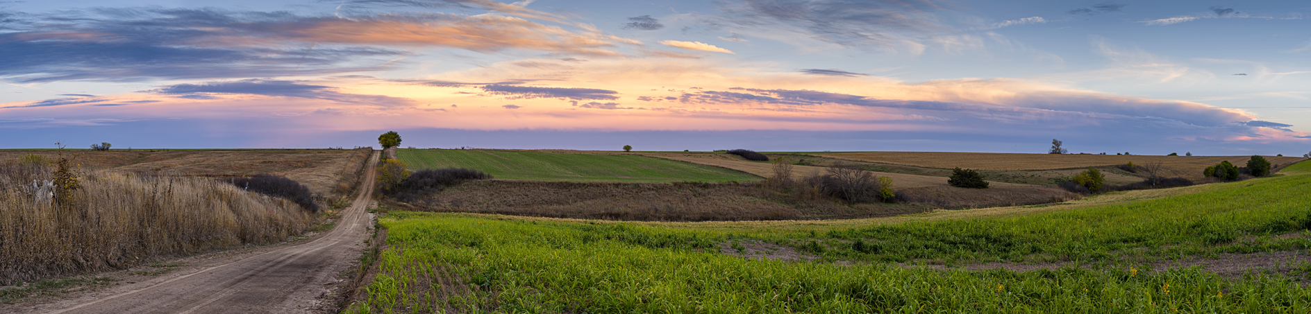 Minimum Maintenance Evening II