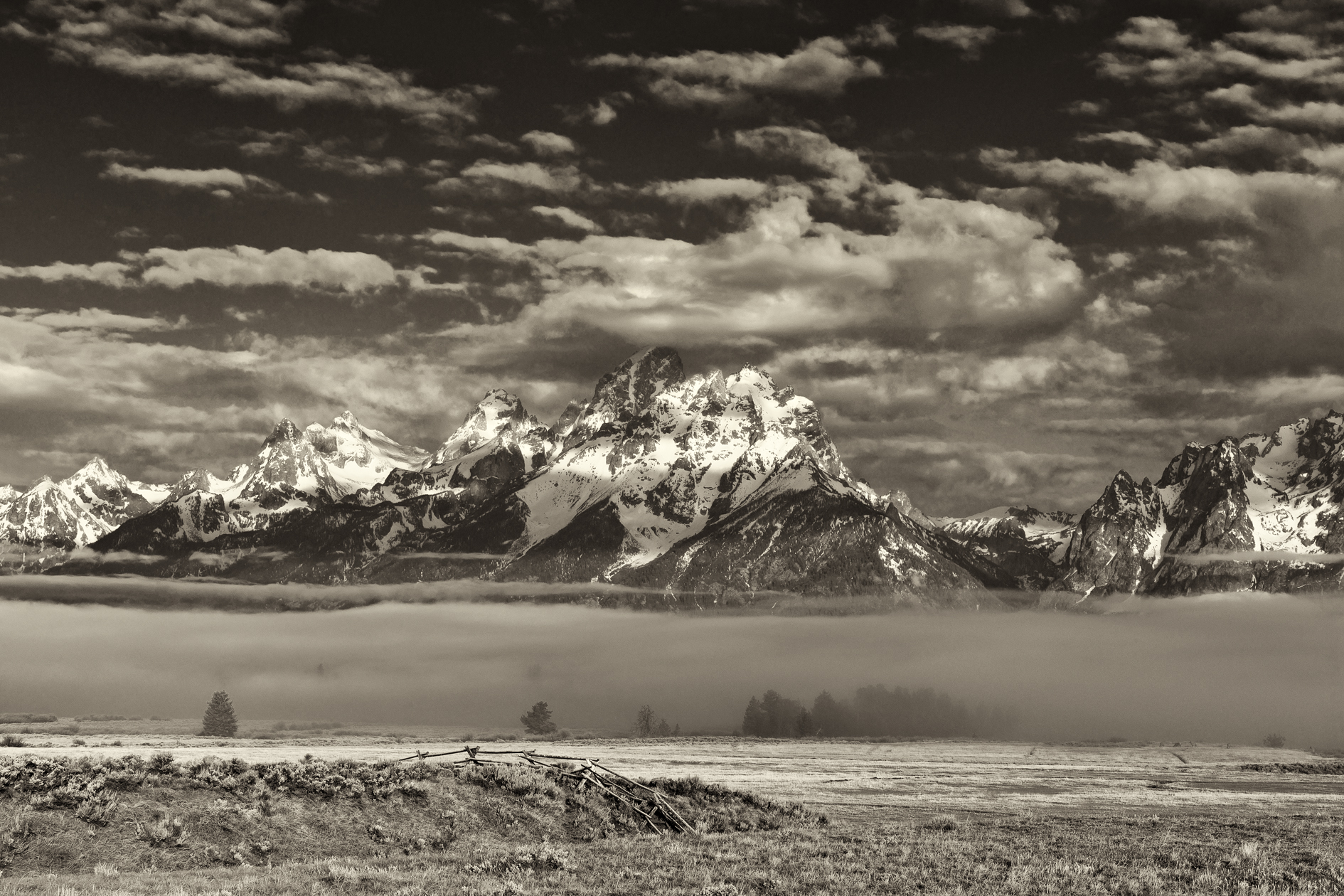 Mist Along the River
