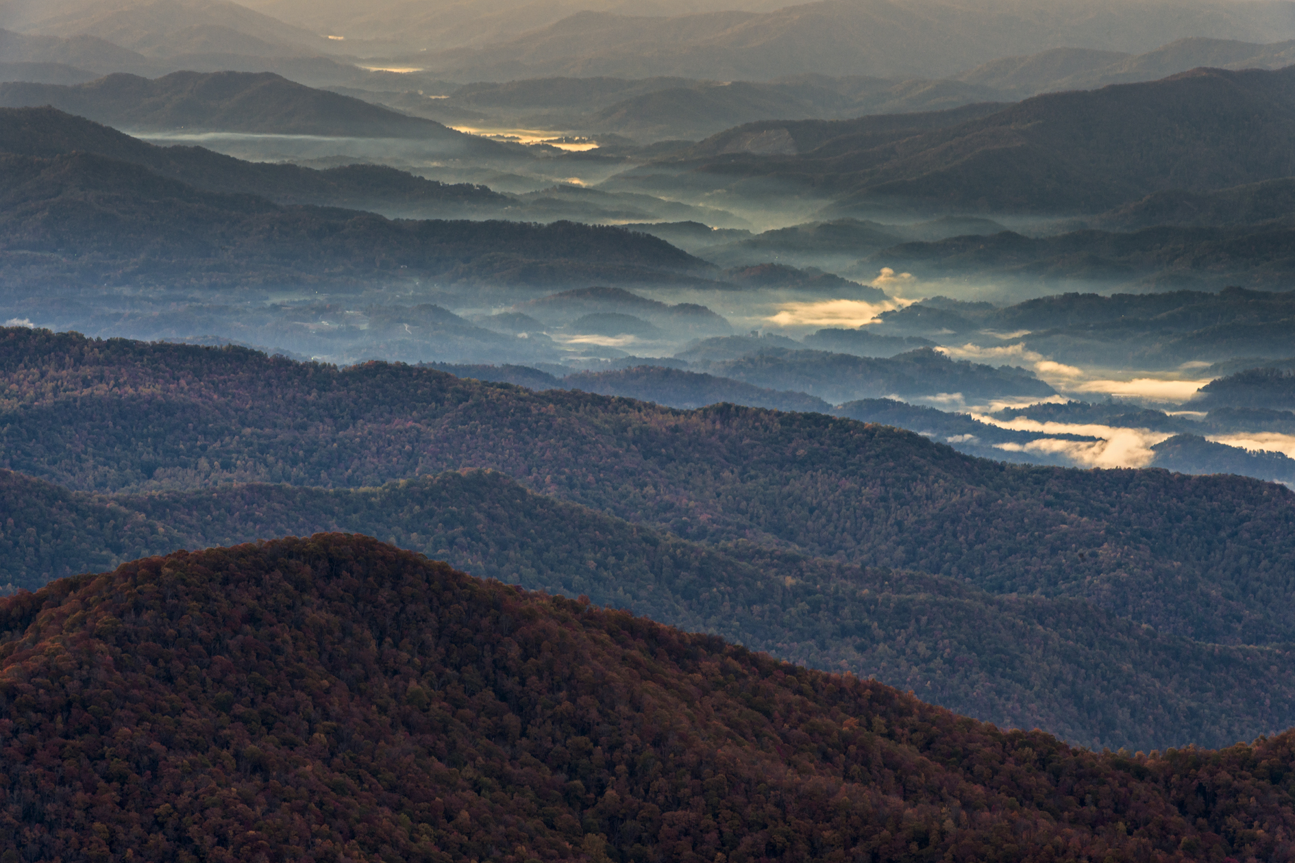 Mist Over Forney Creek