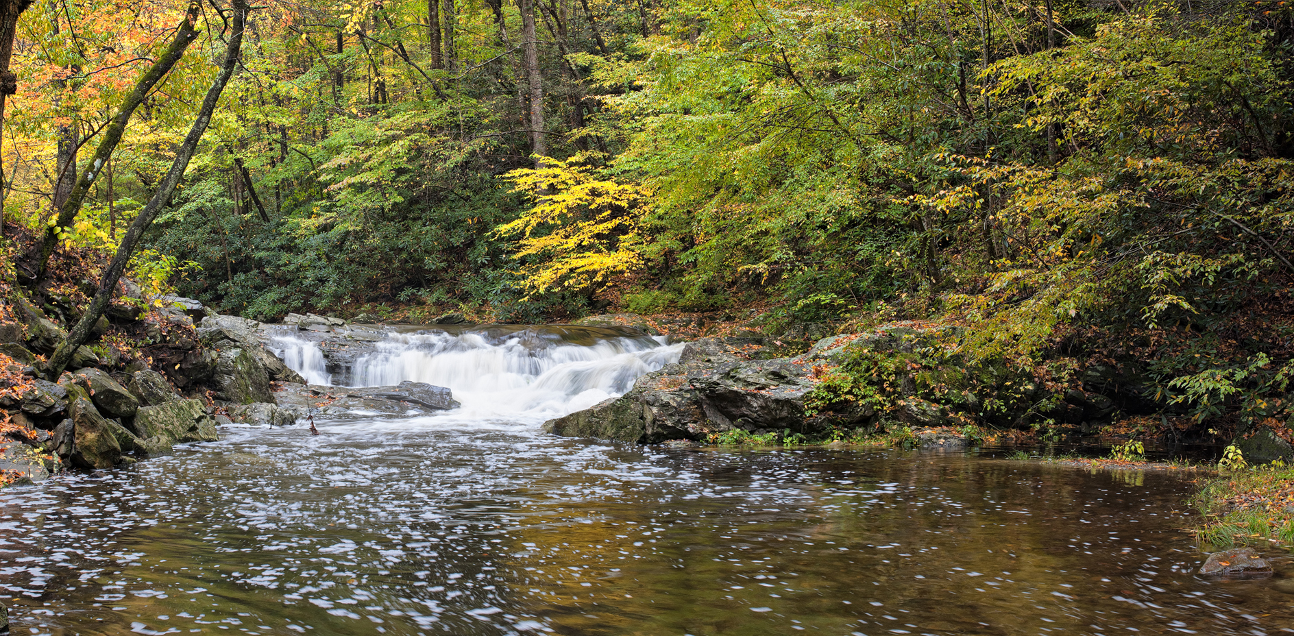 Momentary Excitements