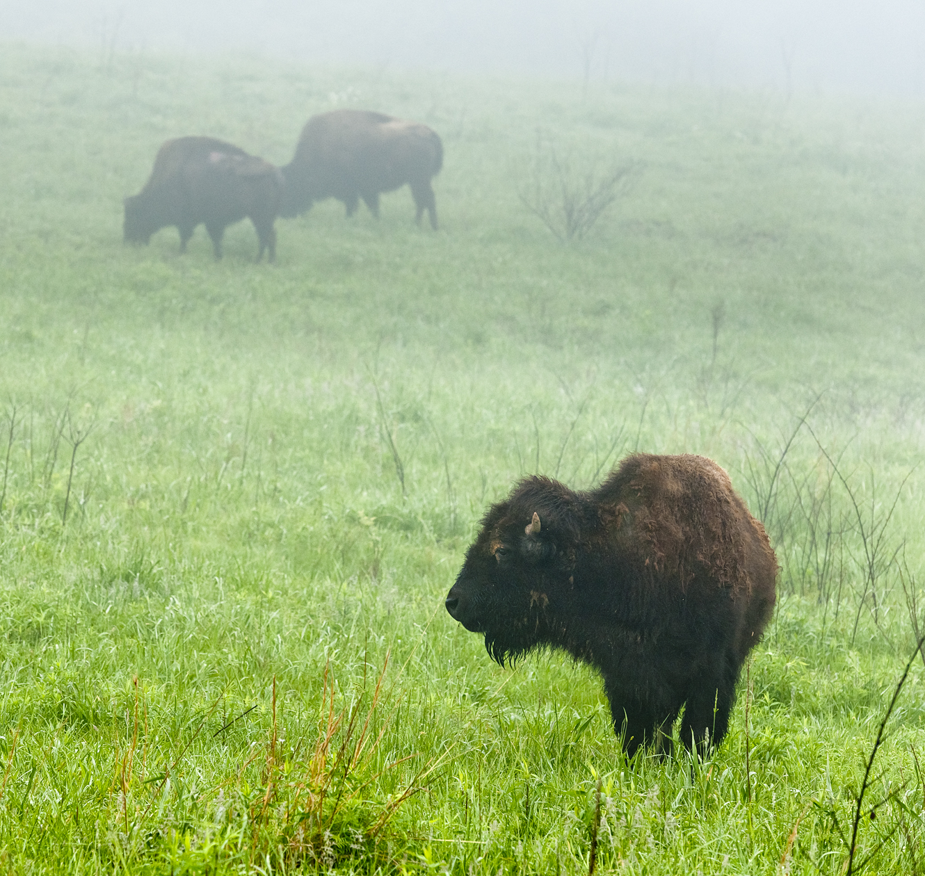 Moments of Contentment