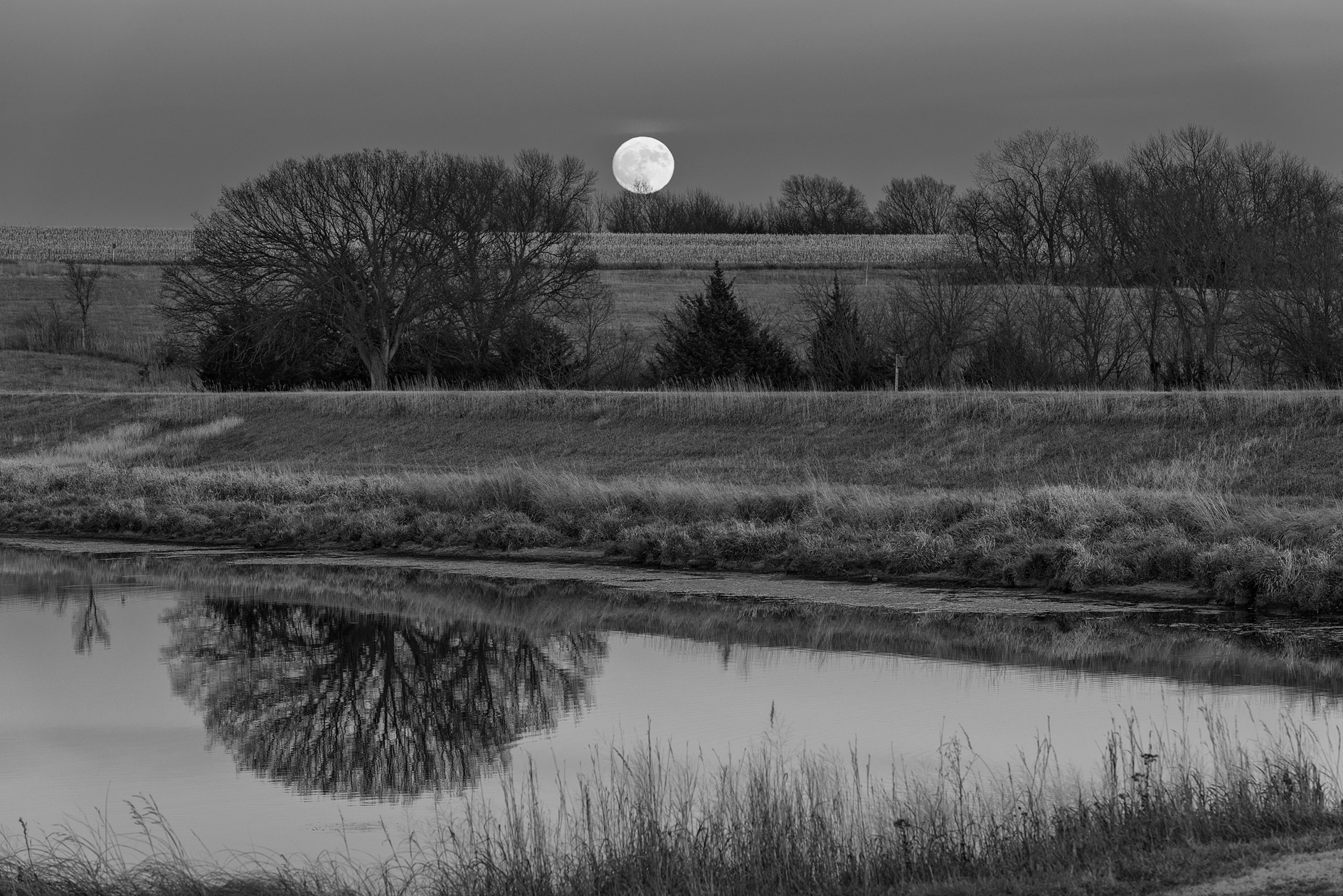 Moonrise at Liberty Cove II