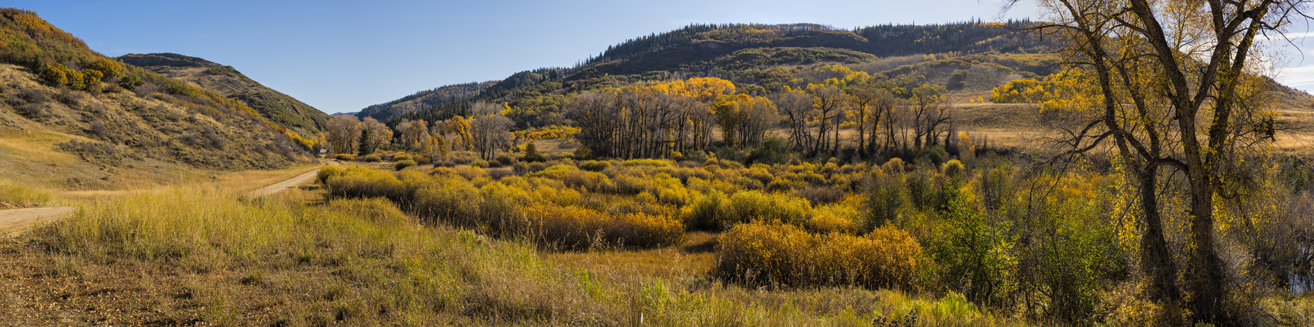 Morning Along Battle Creek