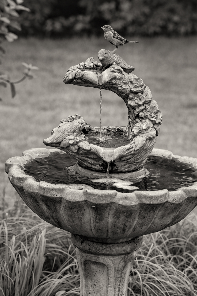 Morning at the Fountain