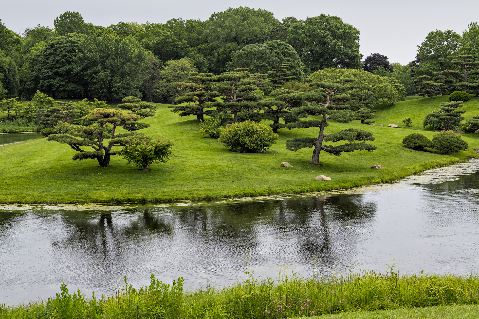 Morning at the Gardens
