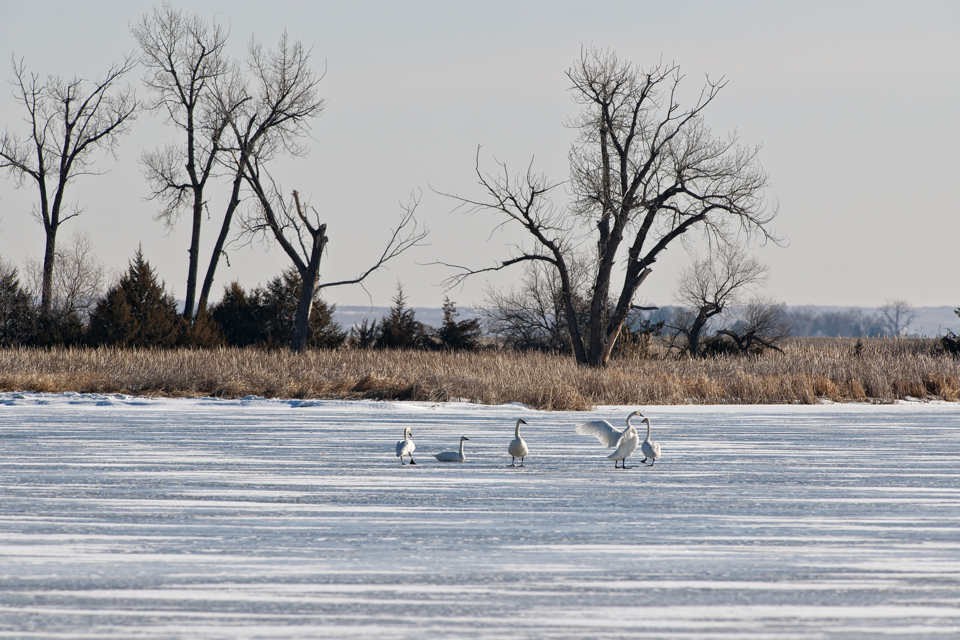 Morning Deliberations