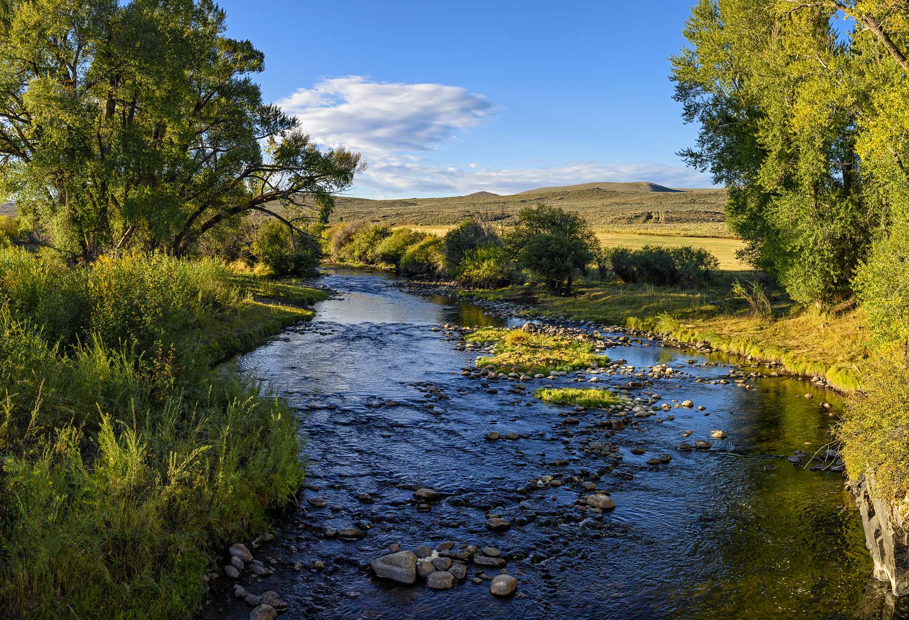 Morning on the River II