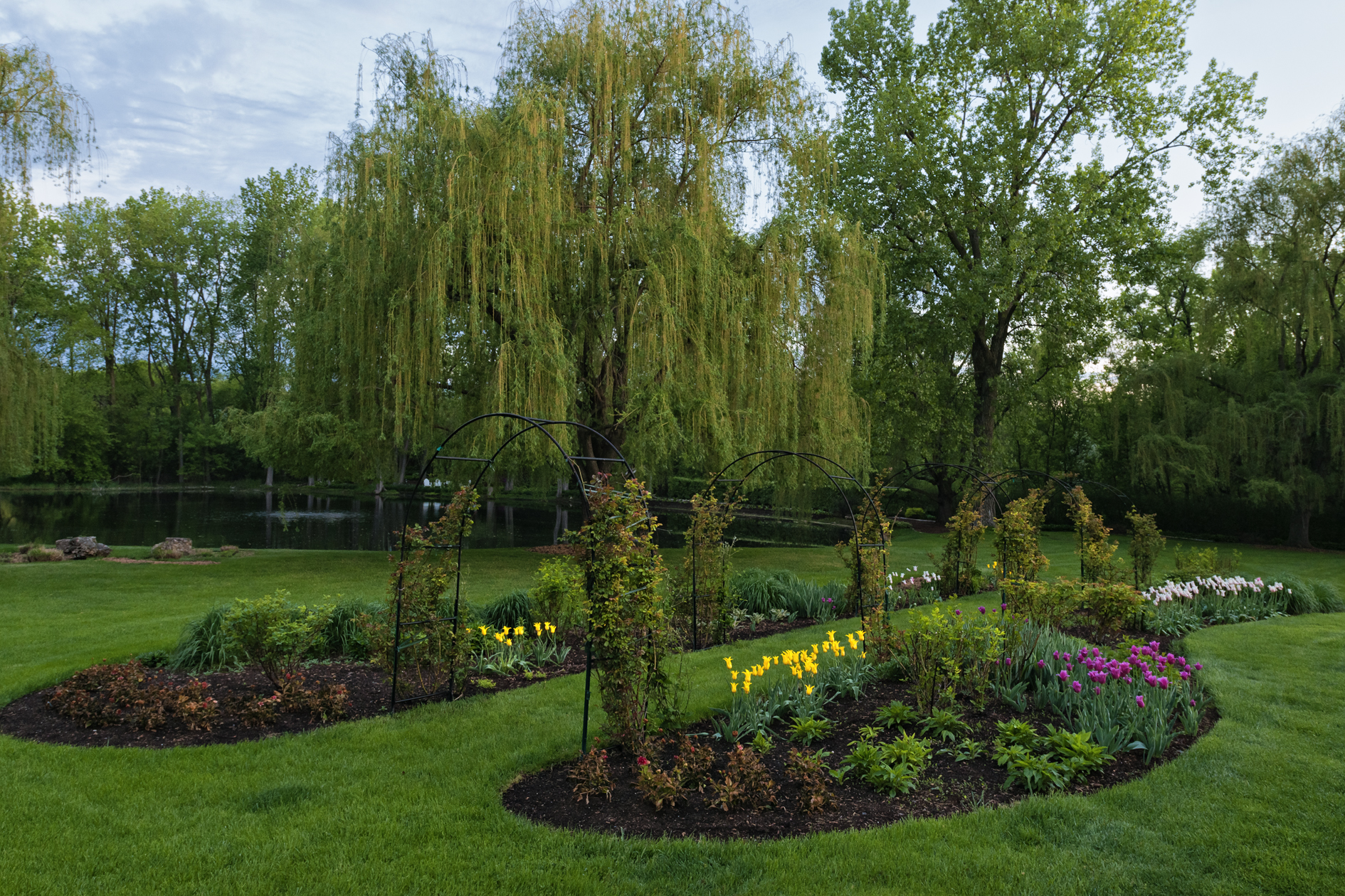 Mornings by the Pond