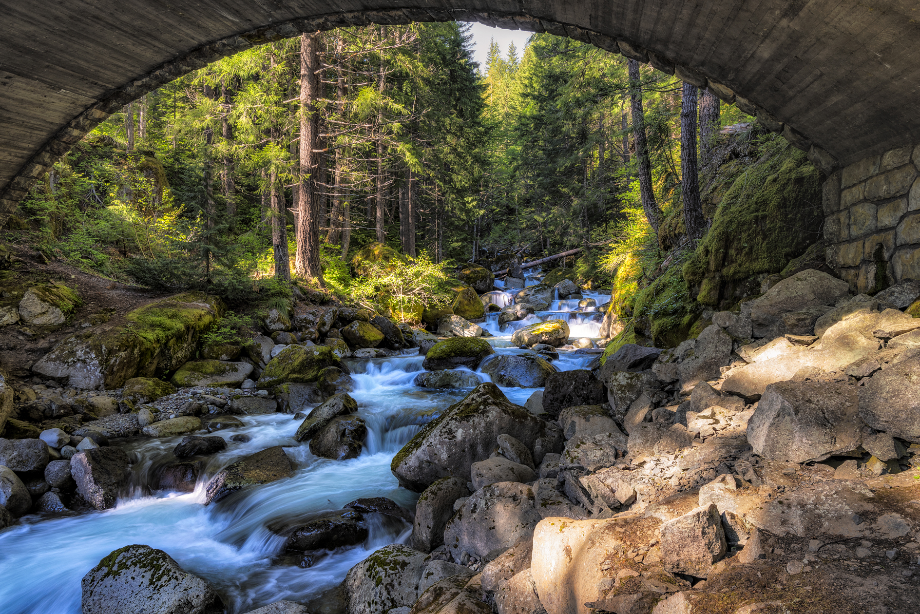 Nickel Creek Evening