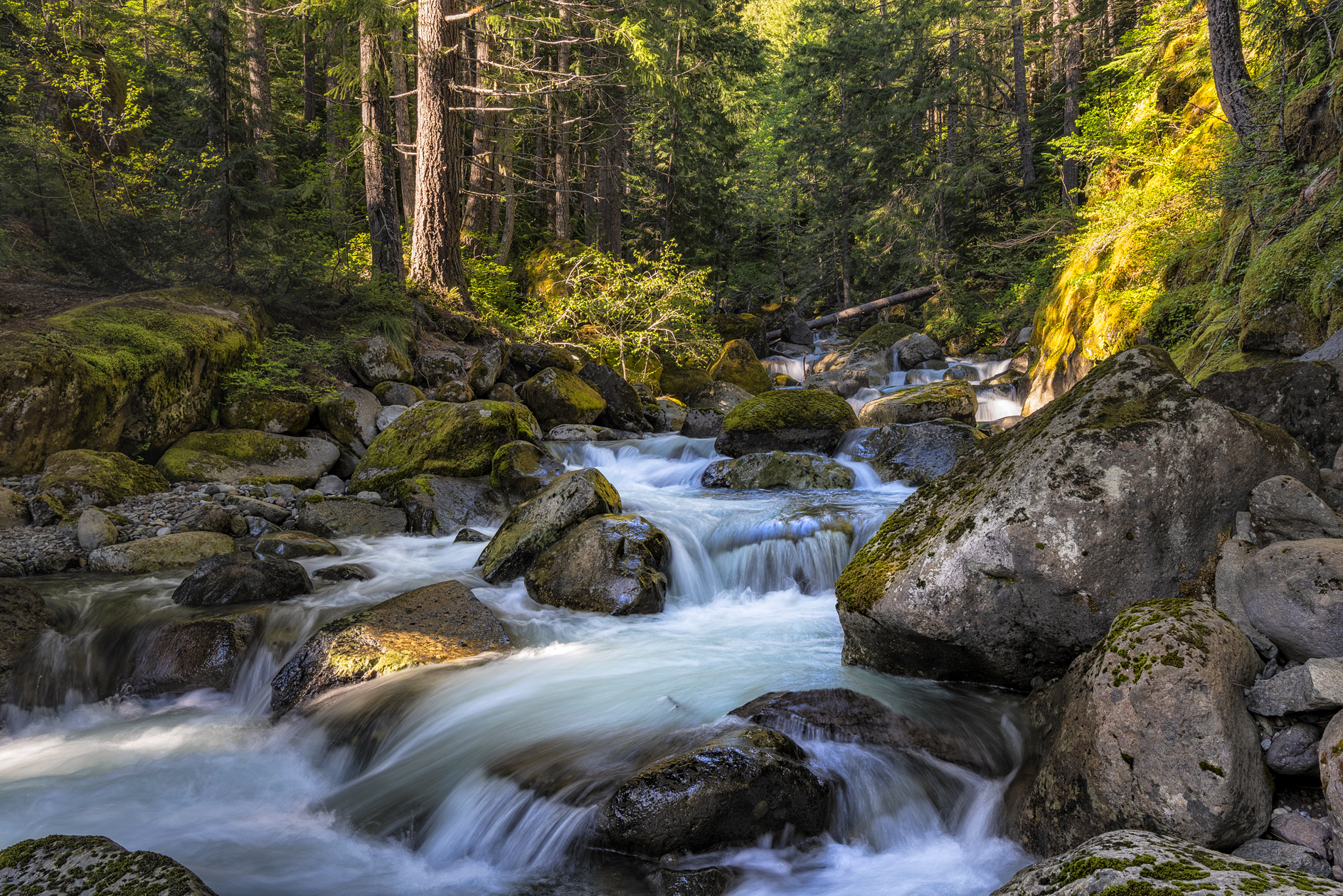 Nickel Creek Evening II