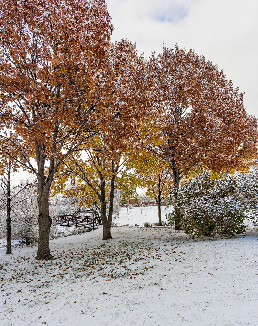 November Passing III