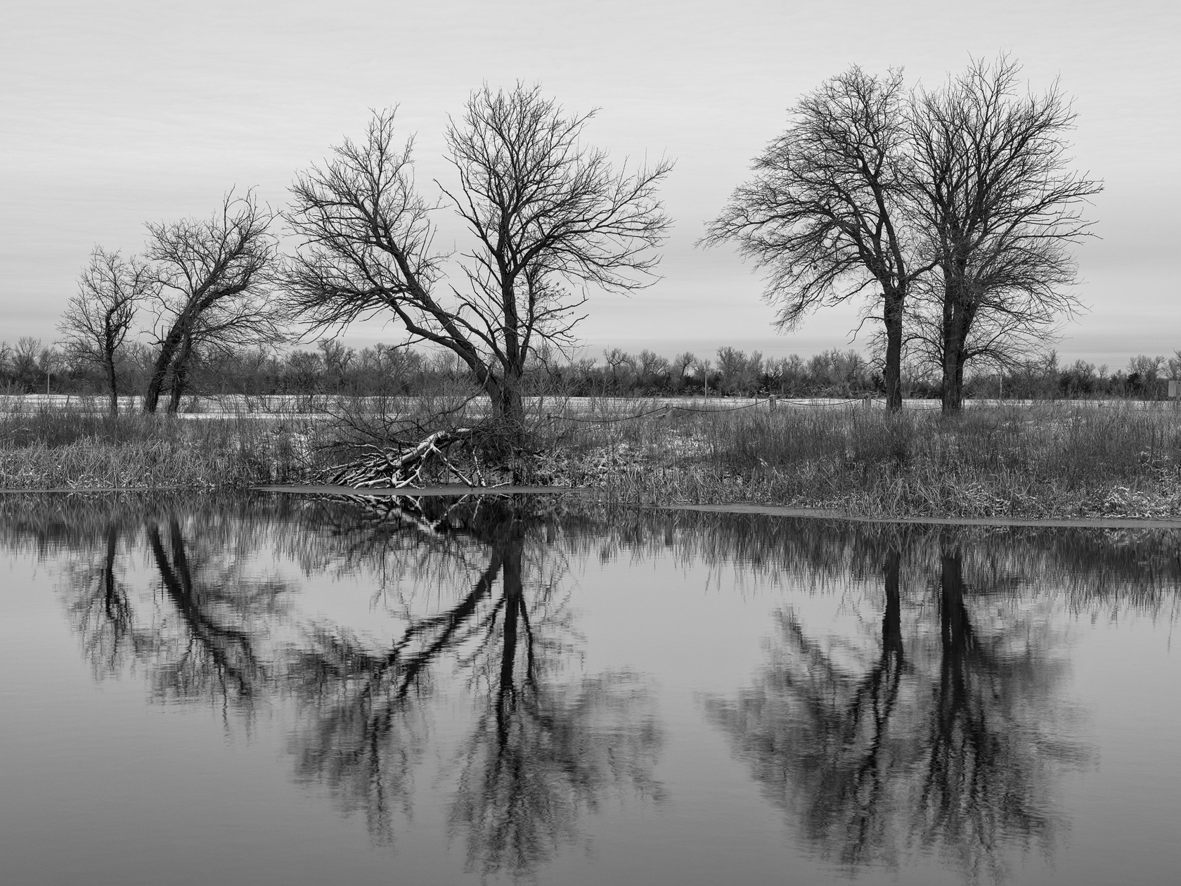 November Reflections