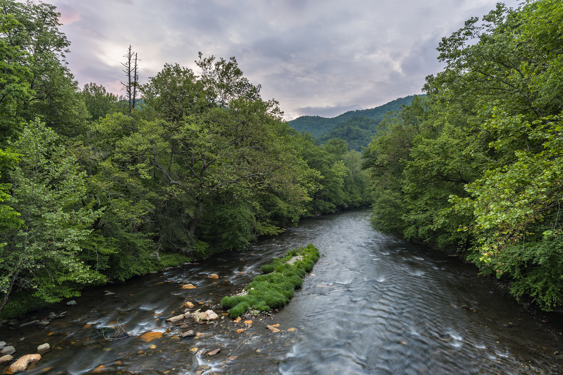 Oconaluftee River Morning II