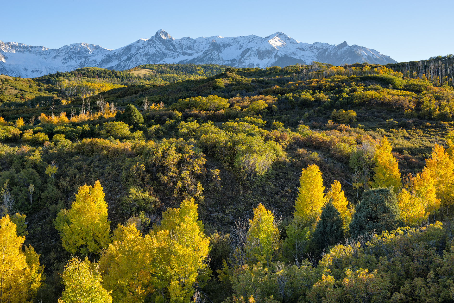 October on the Mesa III