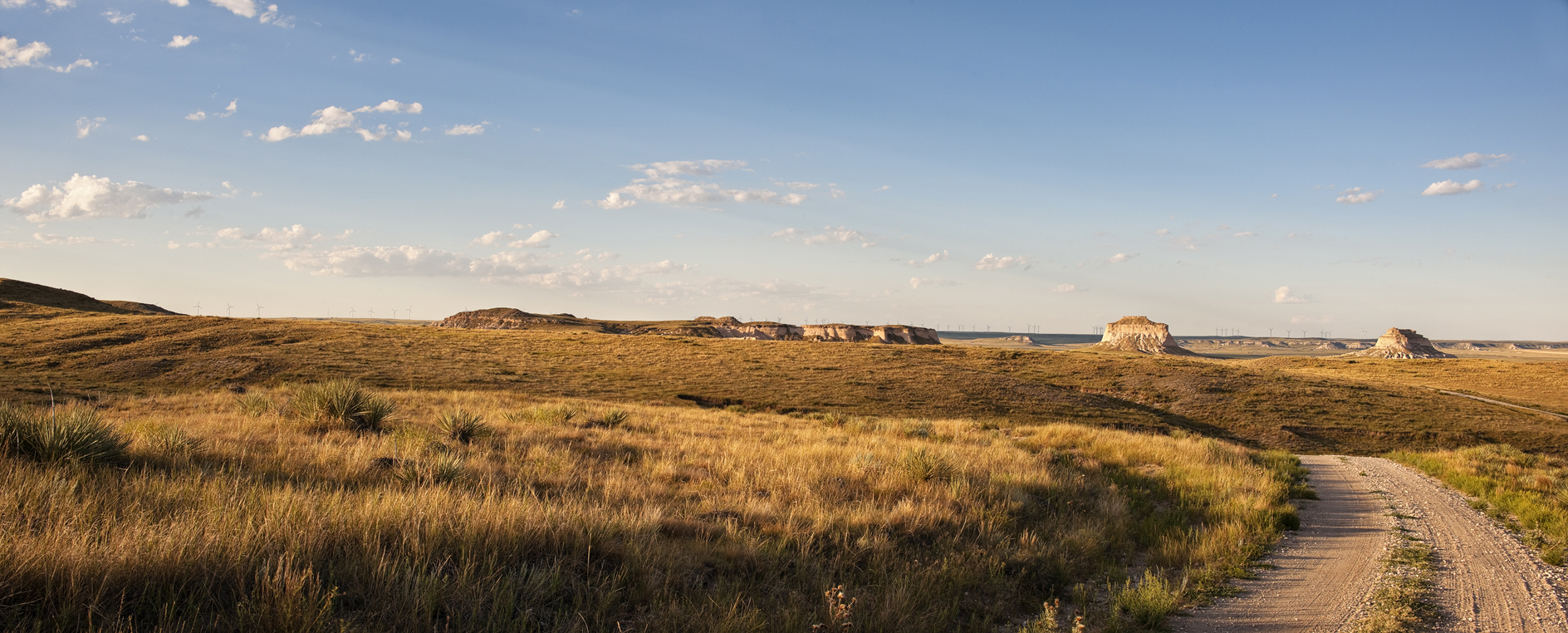 Old Dogs and New Tricks