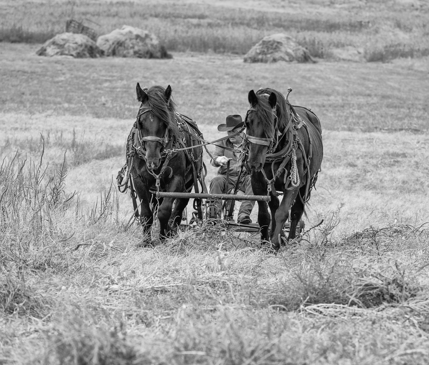 On a Steady Pace III