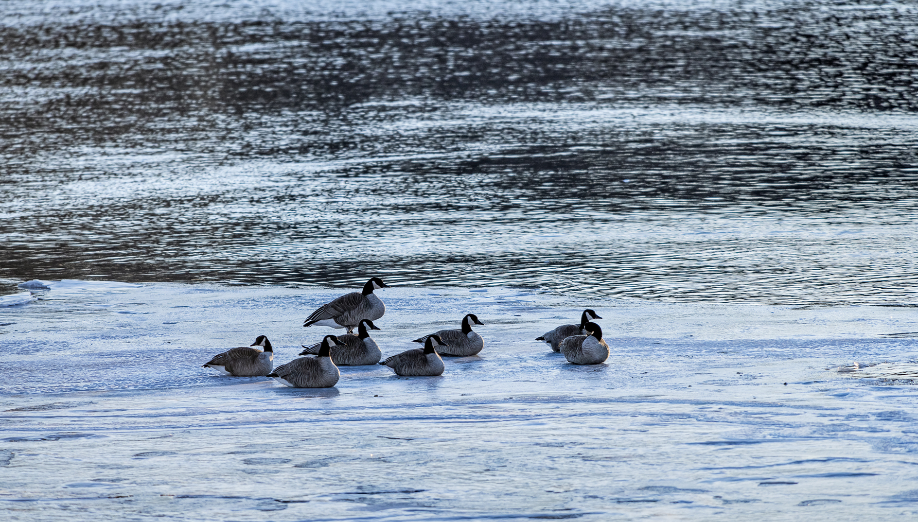 On a Winters Morning