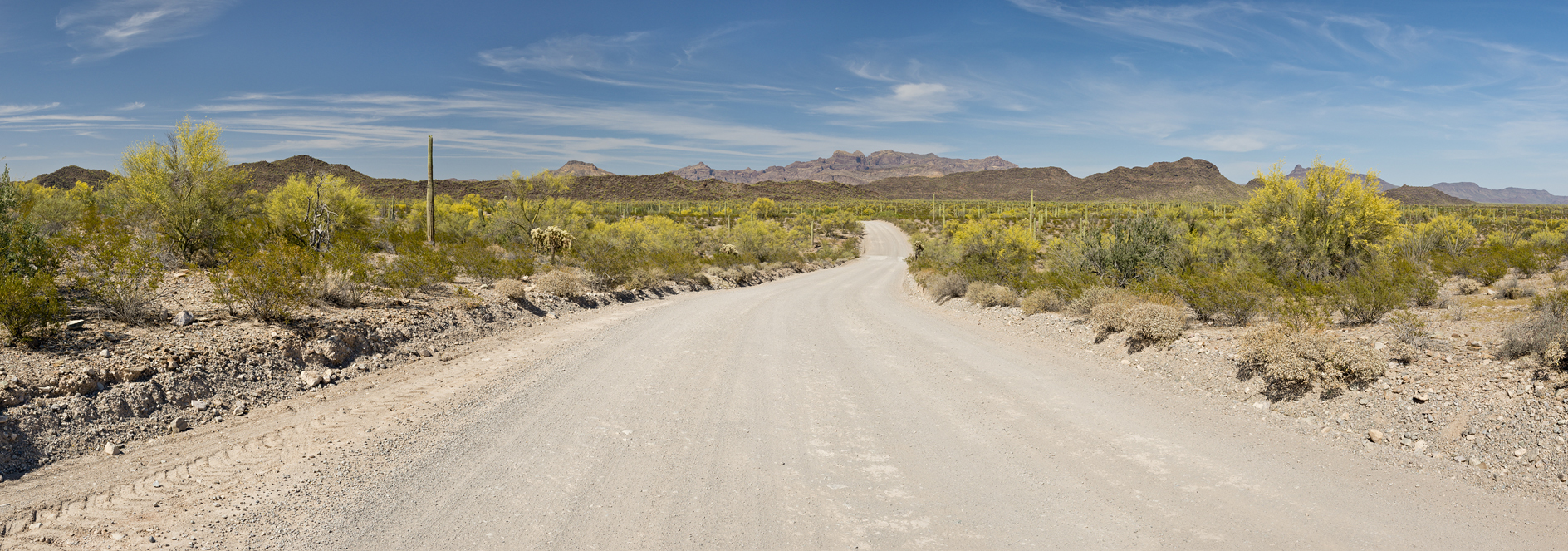 On Ajo Mountain Drive
