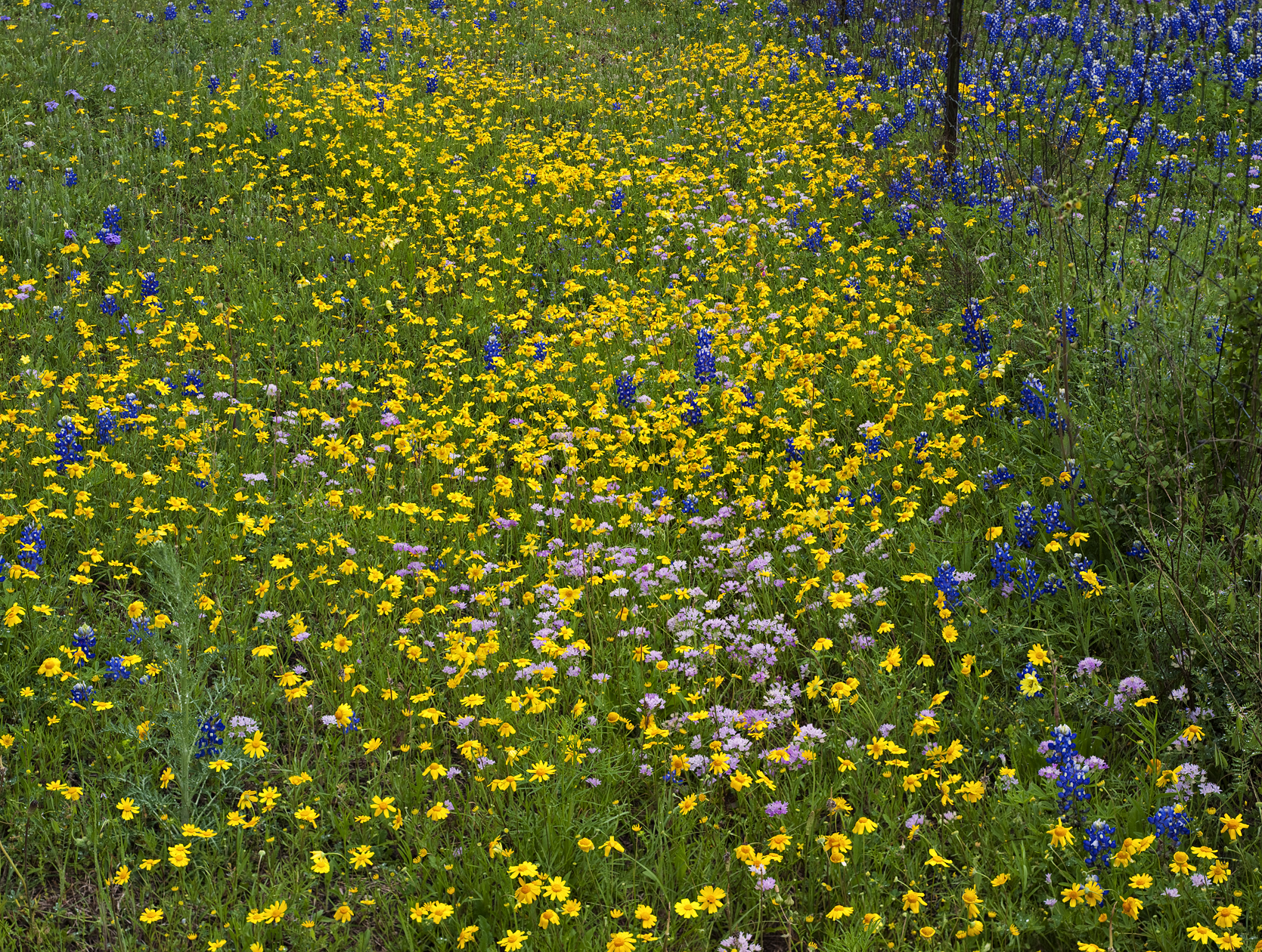 On Both sides of the Fence