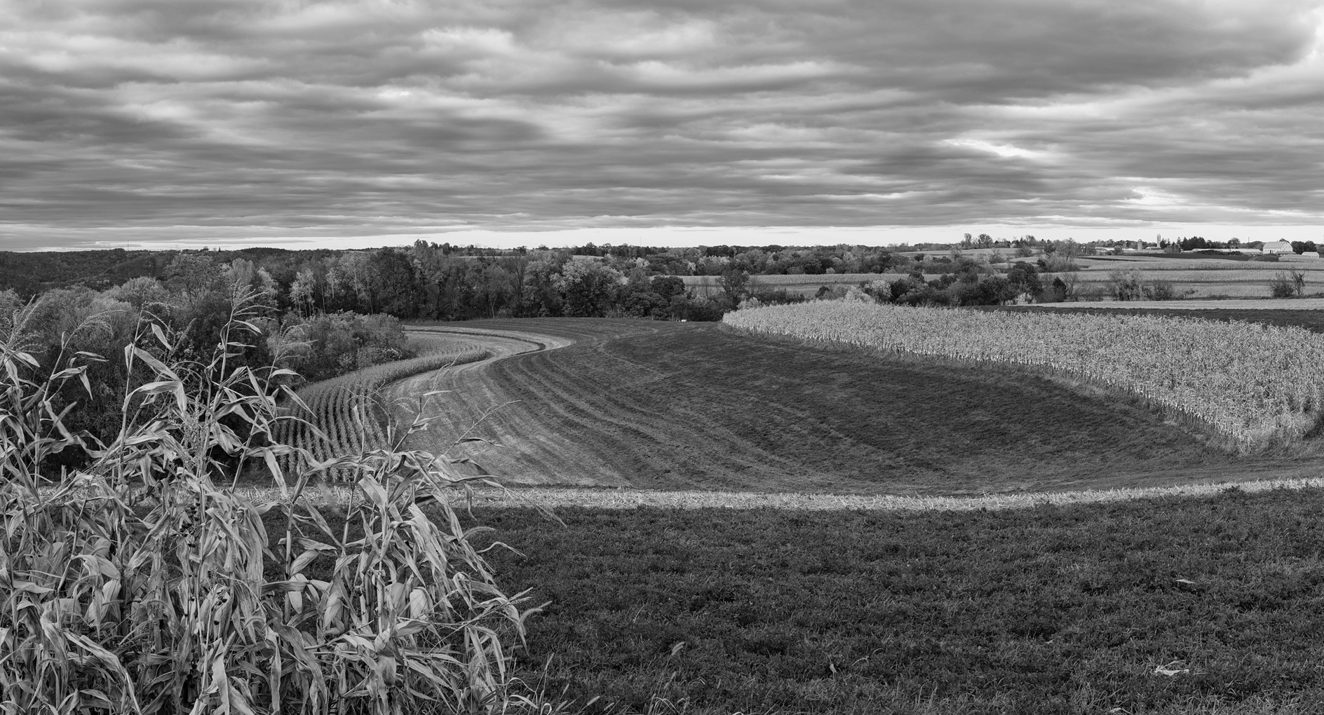 On Chipmunk Ridge Road