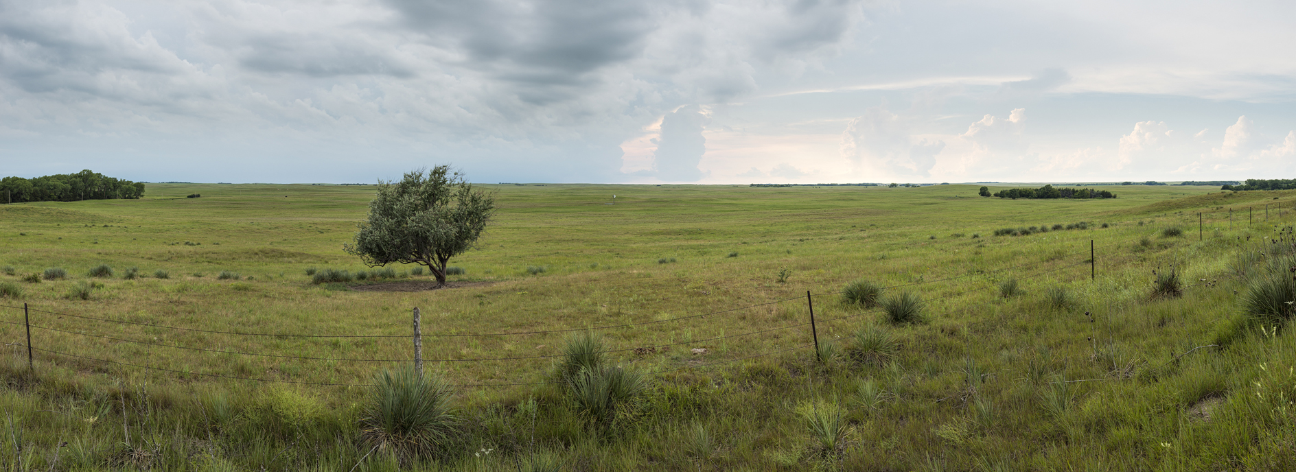 On the Lonesome Prairie