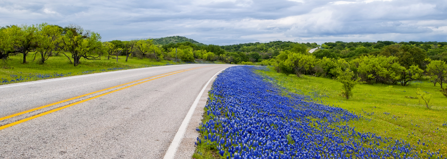 On the Right Side of the Road