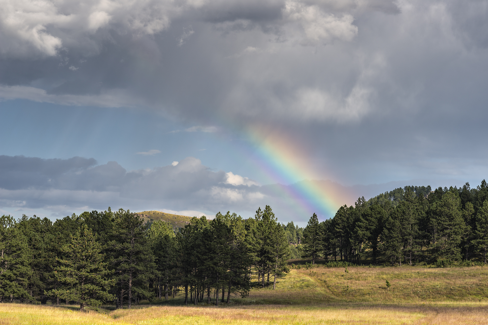 On the Right Track II