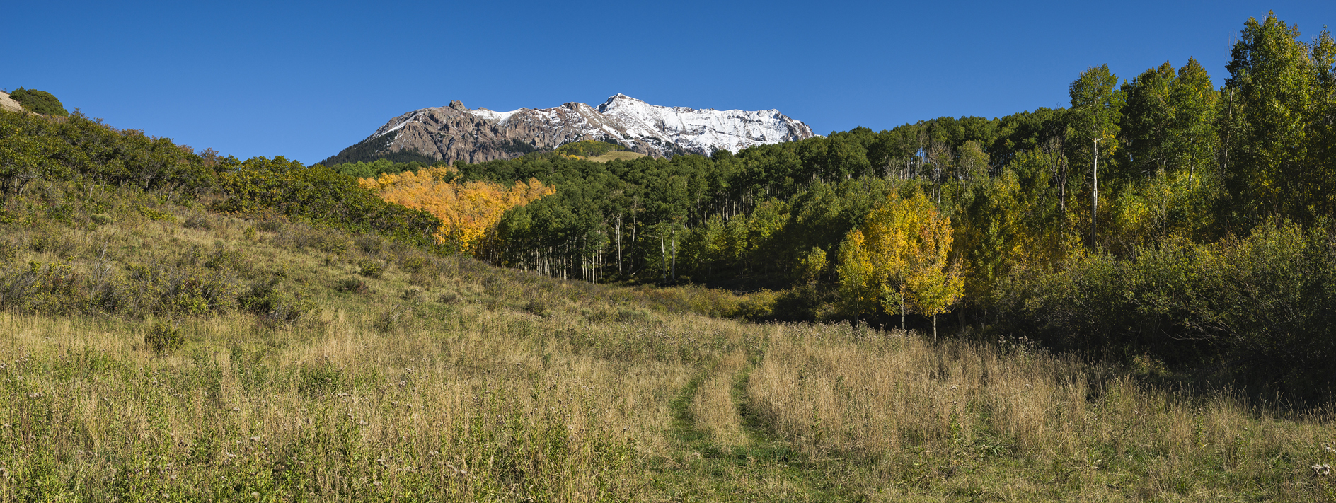 On the Wilderness Trail